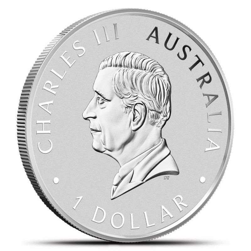Australian Koala, reverse (back)