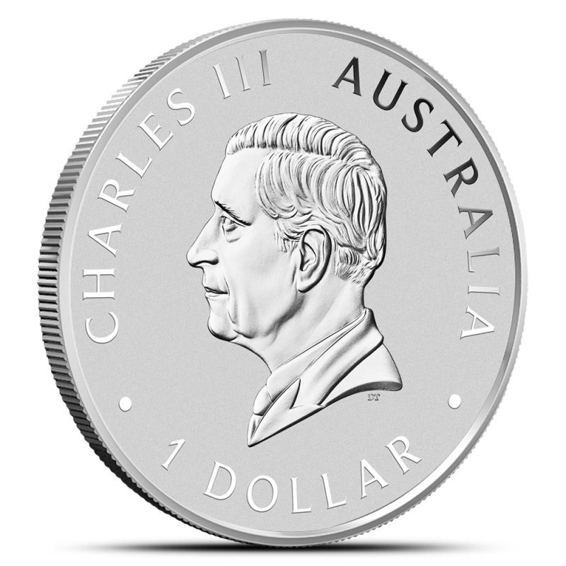 Australian Kookaburra, reverse (back)